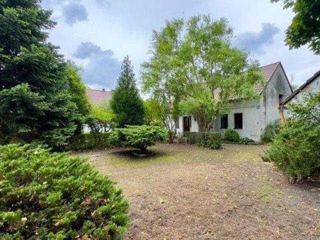 Dom do remontu na dużej działce - Suchy Bór