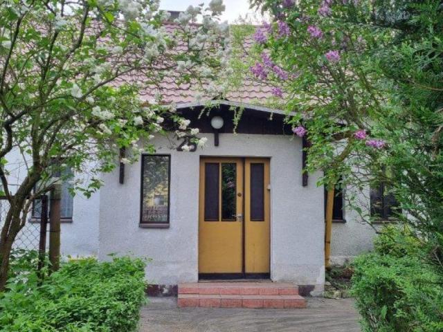 Dom do remontu na dużej działce - Suchy Bór